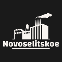Логотип novoselitskoe.ru